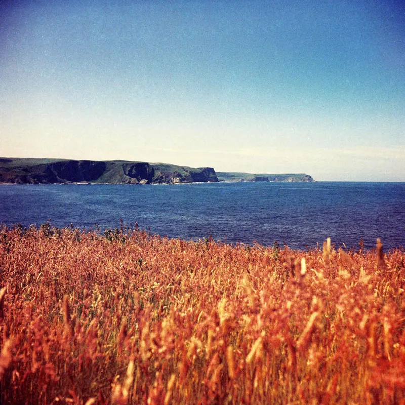 Strahangles shot on Kodak Ektachrome 64 Daylight with a Lubitel 166B, by Matt