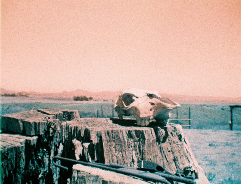 Salinas shot on Lomography LomoChrome Turquoise 100 with a Kodak Ektralite 10, developed at Dexter’s Camera, by Brickxbronson