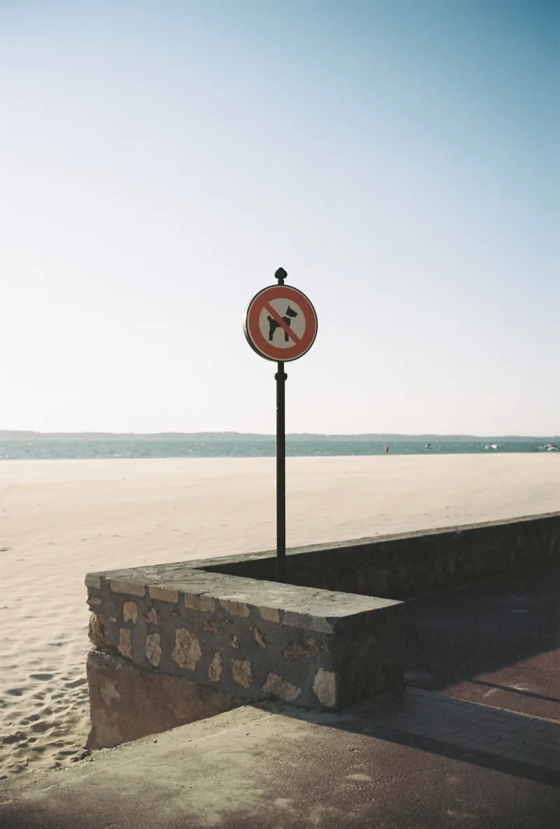 No joy shot on Kodak Portra 160 with a Leica M-A, developed at Panajou Bordeaux, by Jon