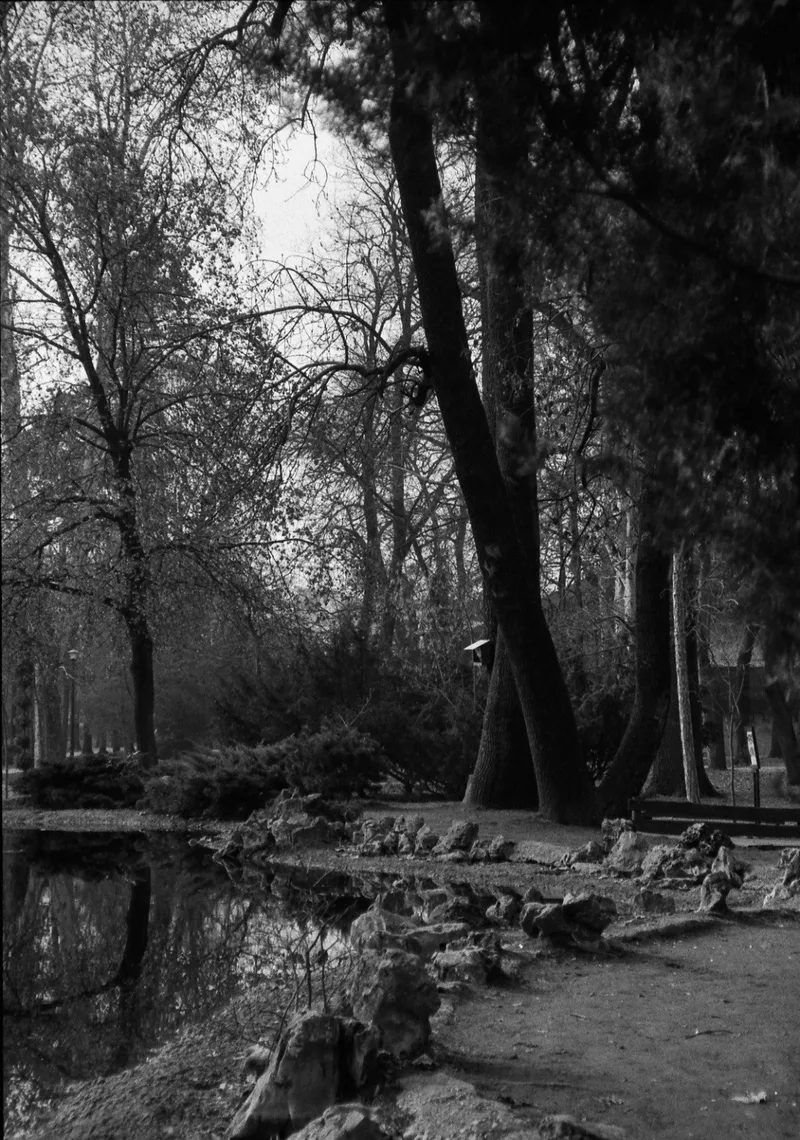 Film photo shot on Kentmere Pan 400 with a Minolta Riva Zoom 140ex, developed at Home / Self-Developed, by pavle