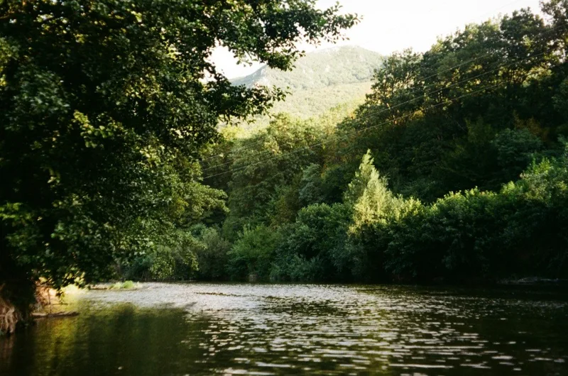 Film photo shot on Kodak Gold 200 with a Minolta Riva Zoom 140ex, developed at Elite Photo, by pavle