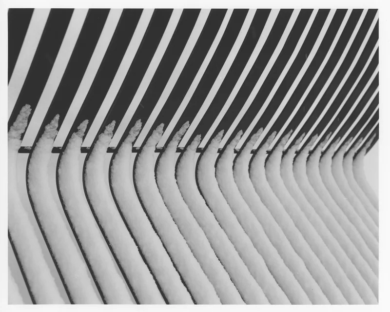 Winter stripes shot on Ilford Delta 100 with a Zenza Bronica ETRSi, developed at Home / Self-Developed, by Luc Béliveau