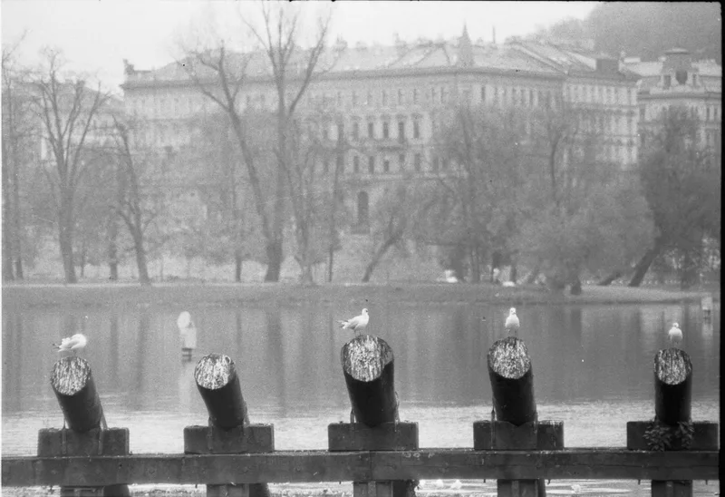 White as Poo shot on Ilford HP5 Plus 400 with a Canon FX, by Alessandro Specchio