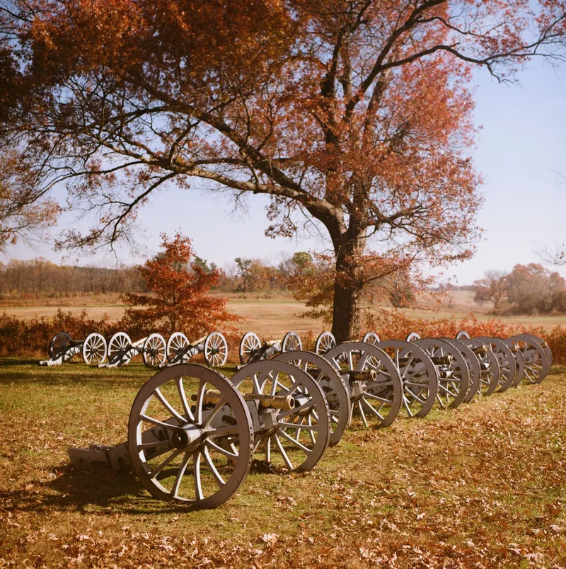 Canons at Valley Forge shot on Lomography CN 100 with a Kiev 60, developed at Indie Photo, by alexonkow