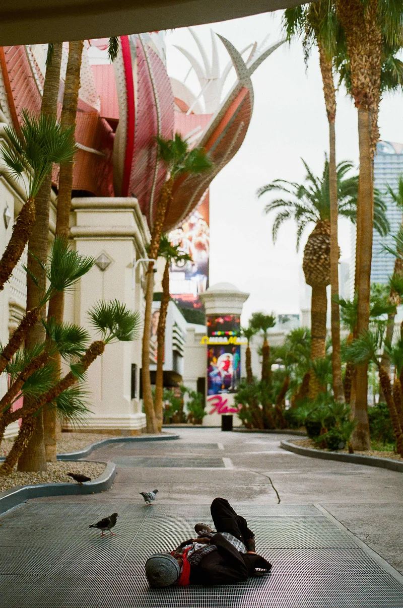 Off Season 🦩 shot on Cinestill 400D with a Olympus OM-1, developed at Luster Photo, by Cheap Thrills