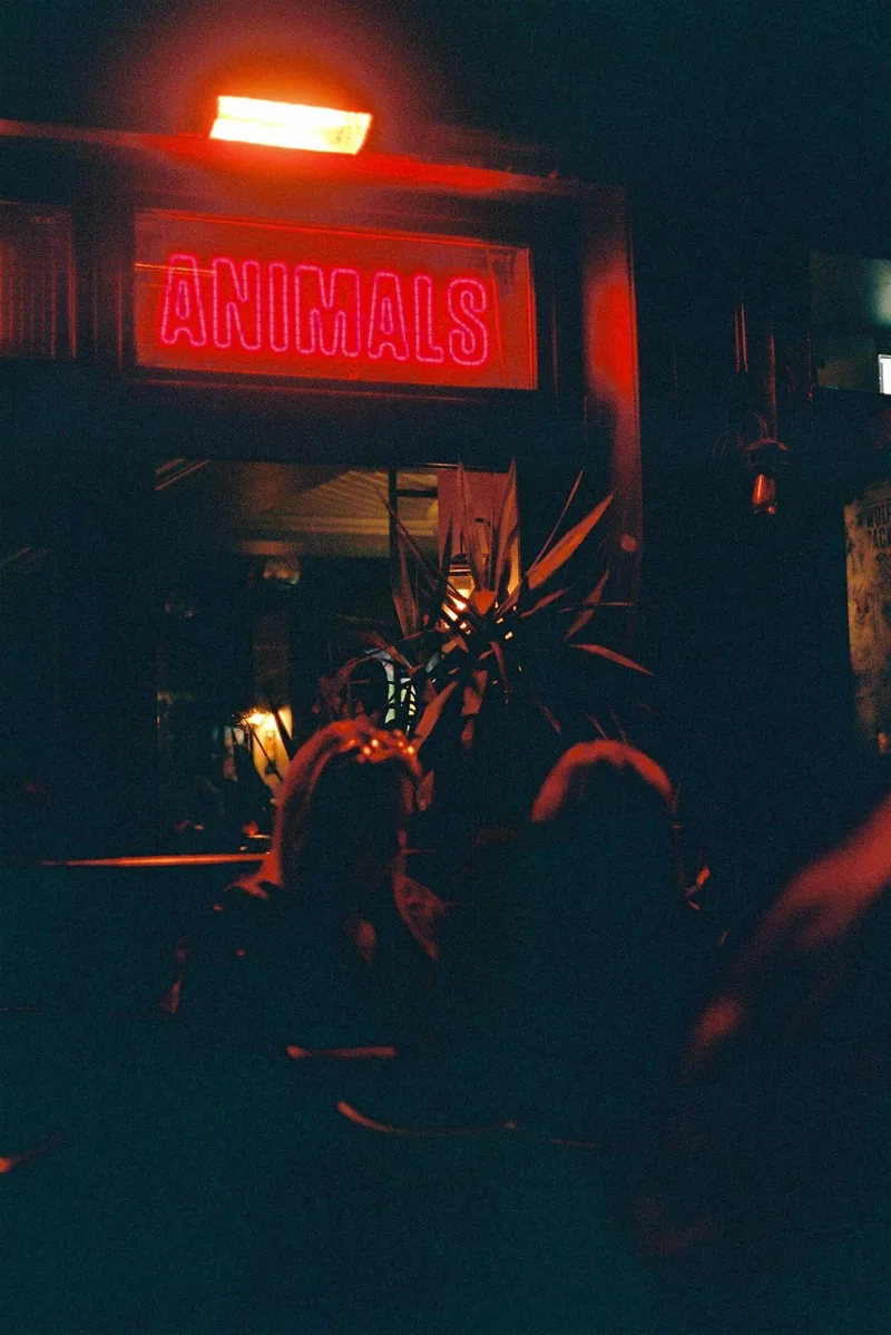 Animals shot on Kodak Portra 400 with a Canon AE-1 Program, developed at Aperture Film Lab, by isoniceo