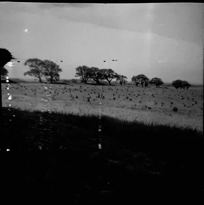 Wild Ken Hill (1). shot on Not Known 127? with a Coronet127 4x4, developed at Home / Self-Developed, by Tony Shelley