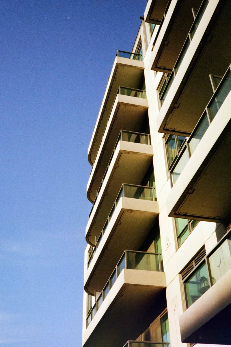 Film photo shot on Kodak Gold 200 with a Ricoh AF-5D, developed at Downtown Camera, by Gillian DiMaria