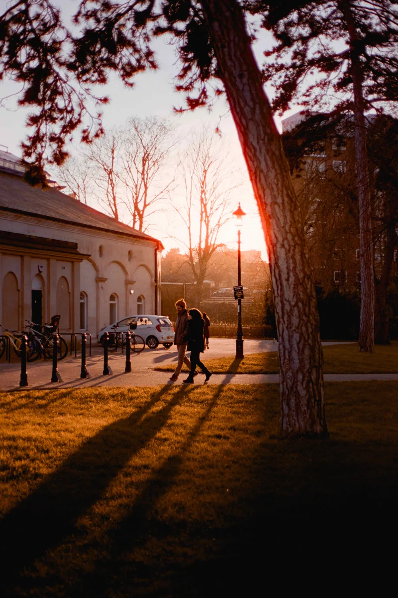 A walk in the park shot on Cinestill 50D with a Canon EOS 500N, developed at AG Photolab, by Alex Hewitt