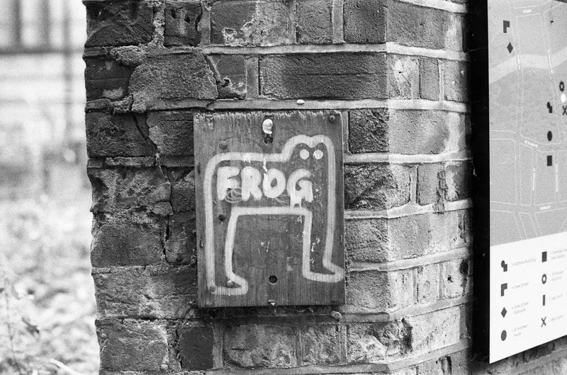 Frog shot on Ilford Kentmere Pan 400 with a Canon FTb, developed at Home / Self-Developed, by Sam