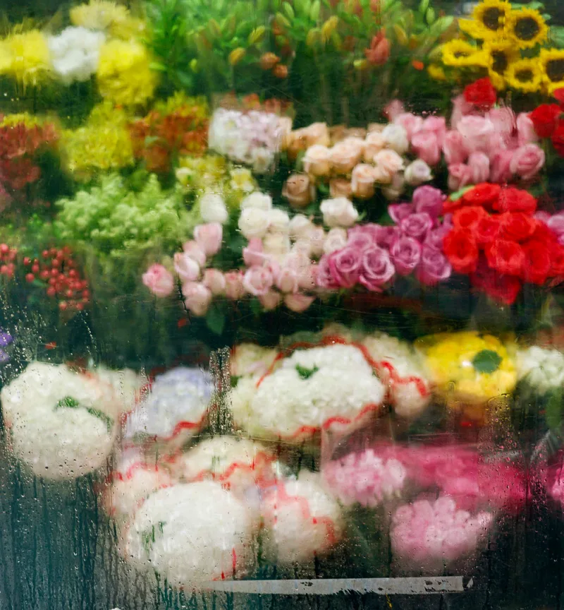 Bodega flowers on a rainy day shot on Kodak Gold 200 with a Mamiya RB67 Pro S, developed at 922 Photo Life, by Chris K.