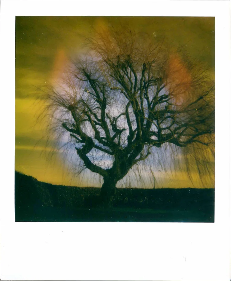 Stranger Things shot on Polaroid i-Type with a Polaroid Impulse AF, developed at Instant Film, by MelvynJ