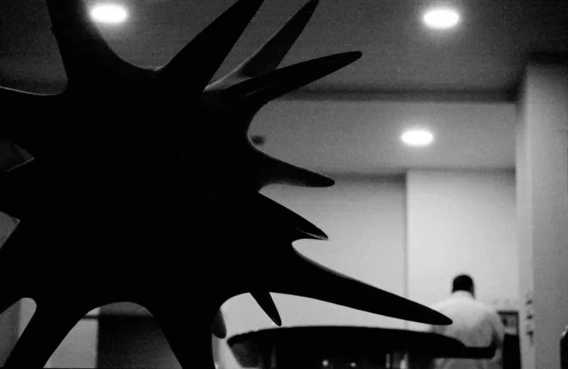 Artificial star shot on Rollei Paul & Reinhold with a Nikon FM2, developed at Home / Self-Developed, by Angela Khoptyuk