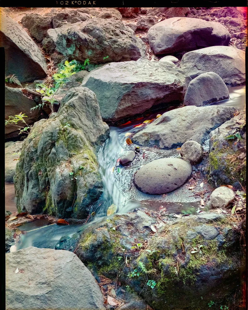 水の流れ shot on Kodak Vericolor III with a Intrepid 4x5, developed at Home / Self-Developed, by Nicholas Smith
