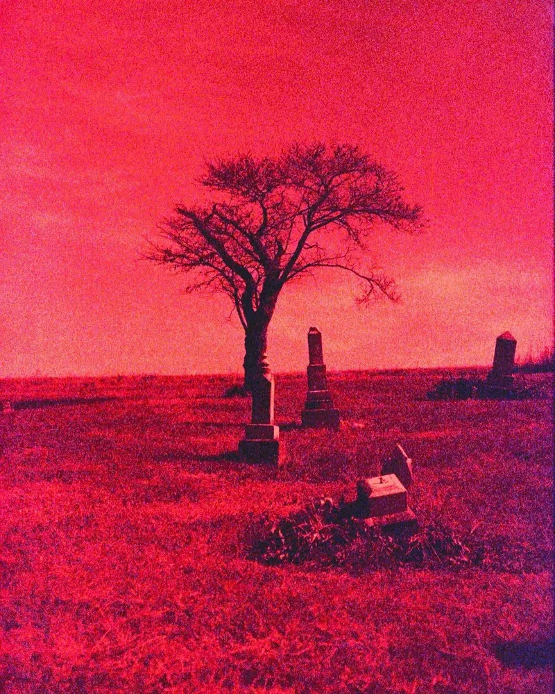 Where We All End Up shot on Lomography Redscale XR 50-200 with a Canon EOS 3, developed at Home / Self-Developed, by Bryan