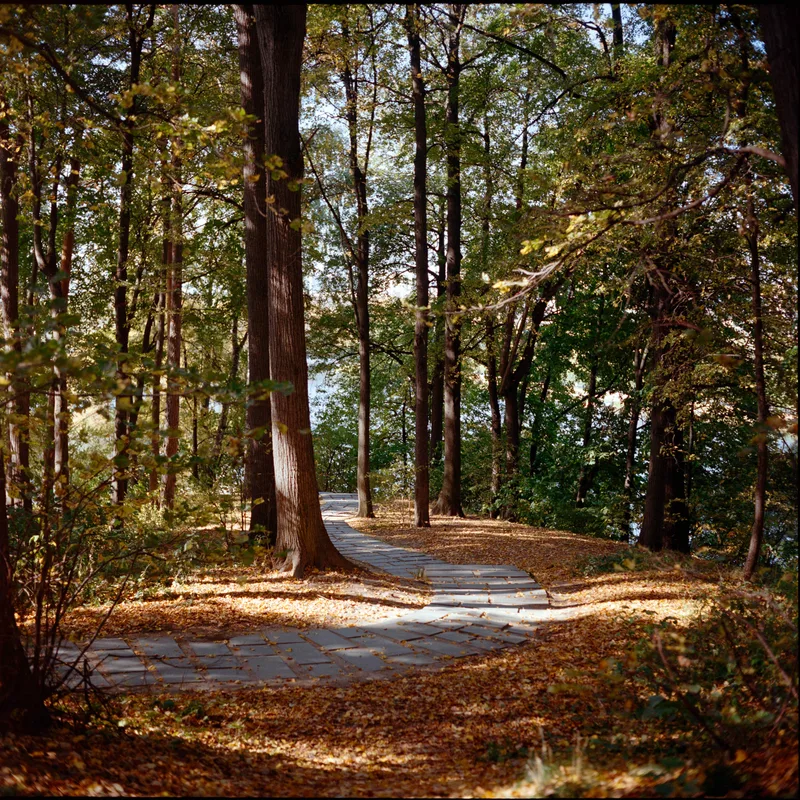 Film photo shot on Kodak Portra 400 with a Minolta Autocord, by Mike