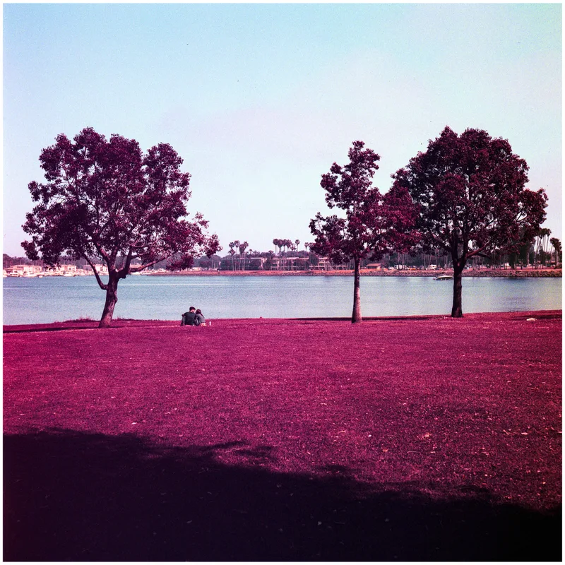 Date in the Park shot on Lomography LomoChrome Purple 100 with a Rolleicord Vb, by Leland
