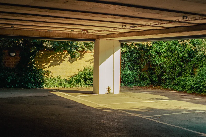 overgrown parking lot shot on Silbersalz 250D with a Nikon F801, developed at Analogue Wonderland, by theo