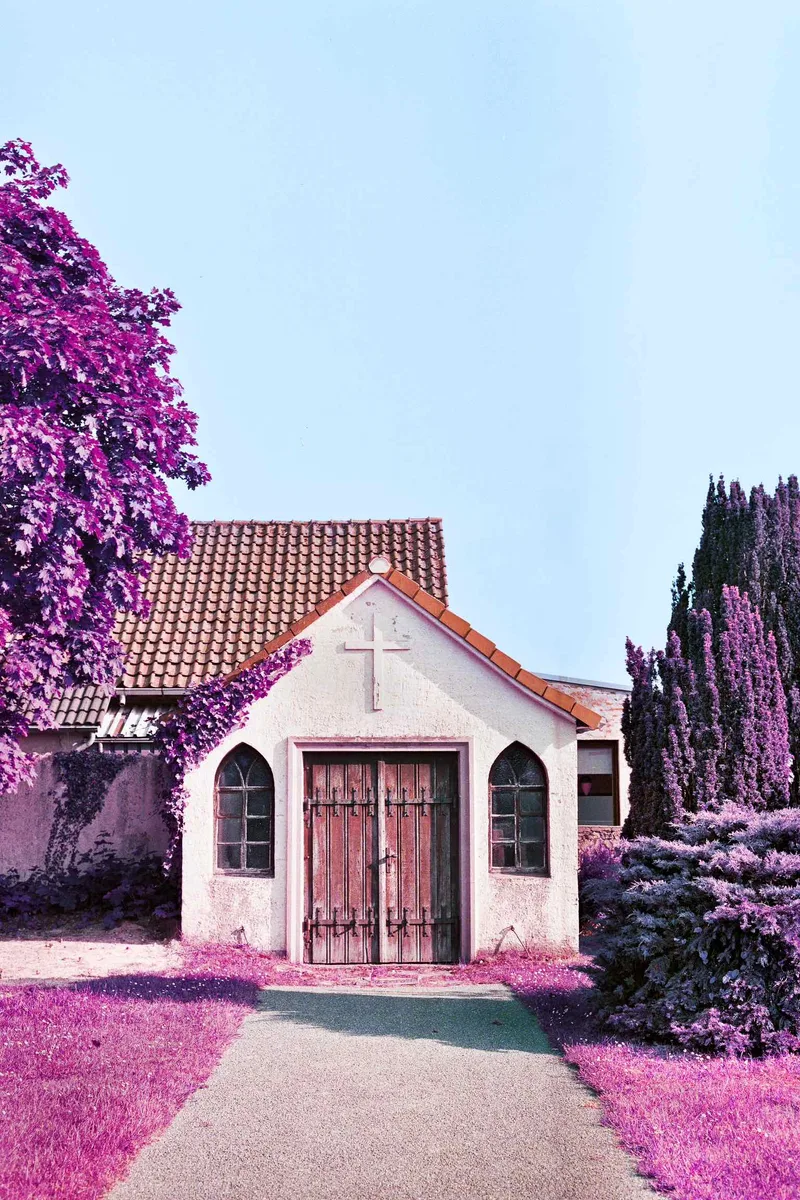Purple shot on Lomography LomoChrome Purple 100 with a Fujica G690 BLP, by Don