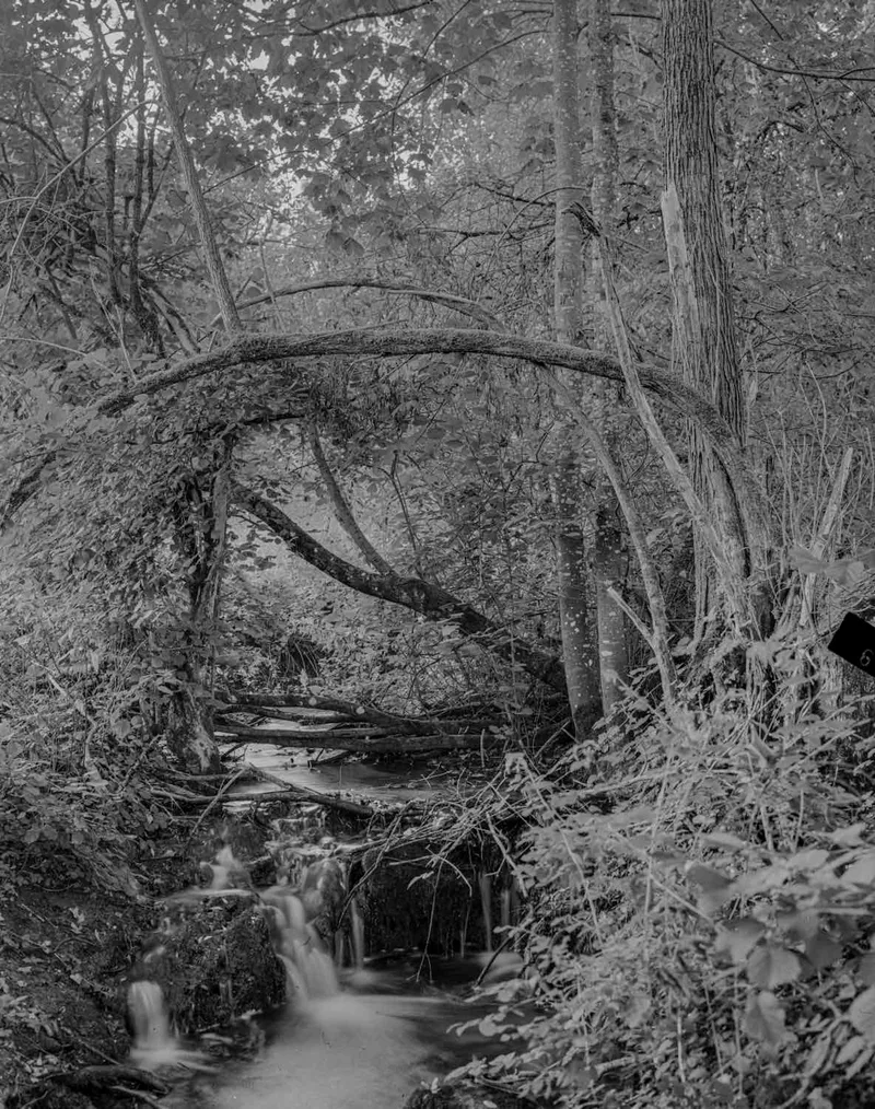 Little stream shot on Foma Fomapan 100 Classic with a Chamonix 45F-2, by Hans- B. Sickler