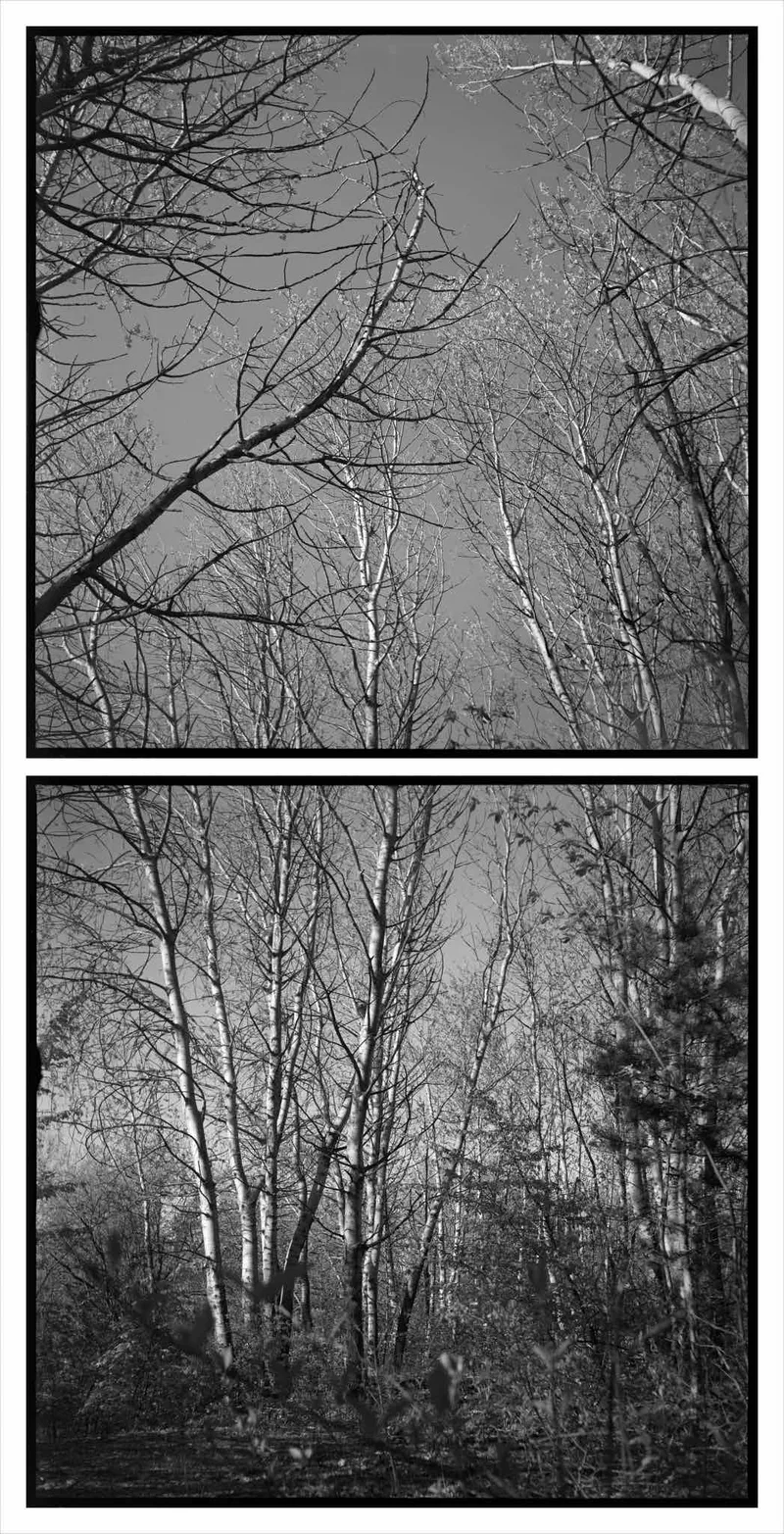 Film photo shot on Ilford FP4 Plus 125 with a Meopta FlexaretVI, developed at Home / Self-Developed, by Petr Lindner