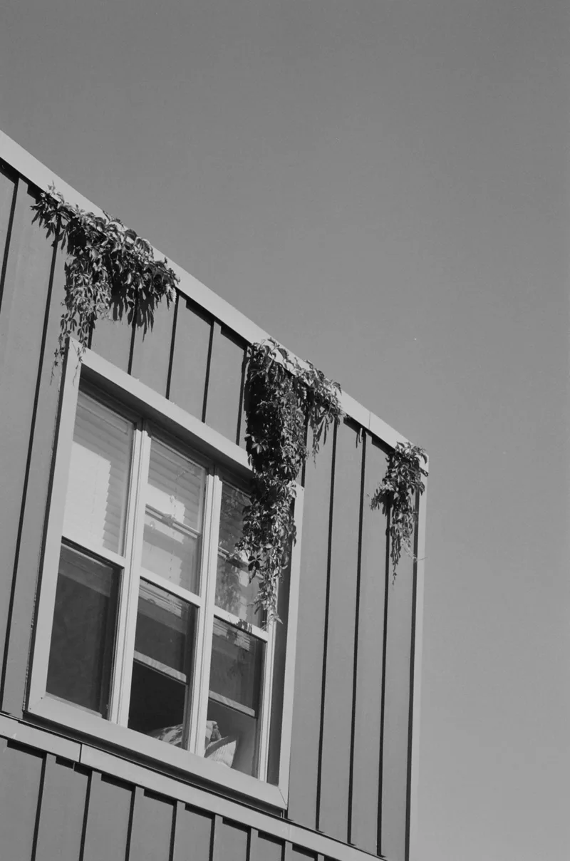 A Simple Window shot on Ilford XP2 Super 400 with a Canon SureShot85, developed at Carman’s Fotosource, by Leela