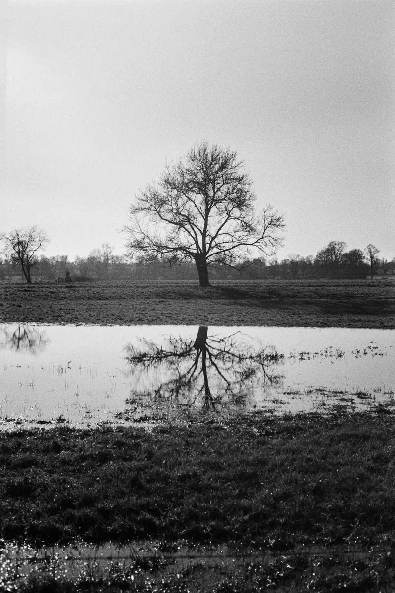 Dans mon Jardin d’Hiver shot on Ilford SFX 200 with a Leica M6, developed at L'Atelier Argentique, by Analogue Resistance