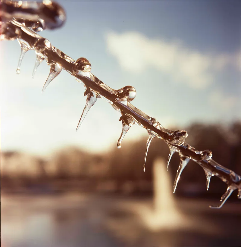 More ice shot on Kodak Ektar 100 with a Rolleiflex 3.5E, developed at Boutique Film Lab, by Jammich