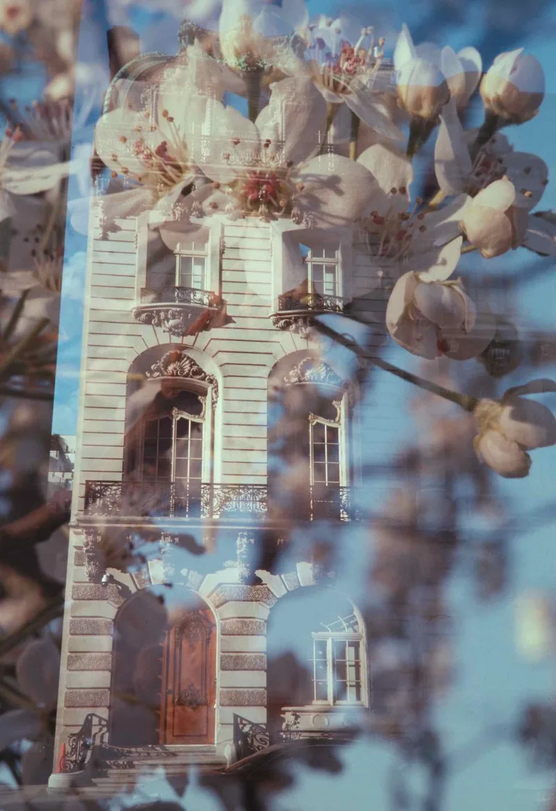 Happy accident shot on Fujifilm Sensia 100 with a Pentax Espio Mini, developed at Accurate Photo, by J Isles