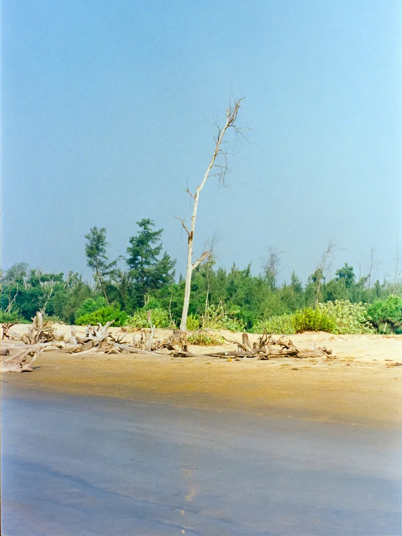 Lonely shot on Kodak Vision3 500T with a Nikon FM2n, developed at Lazy Film Lab, by Iman Sengupta