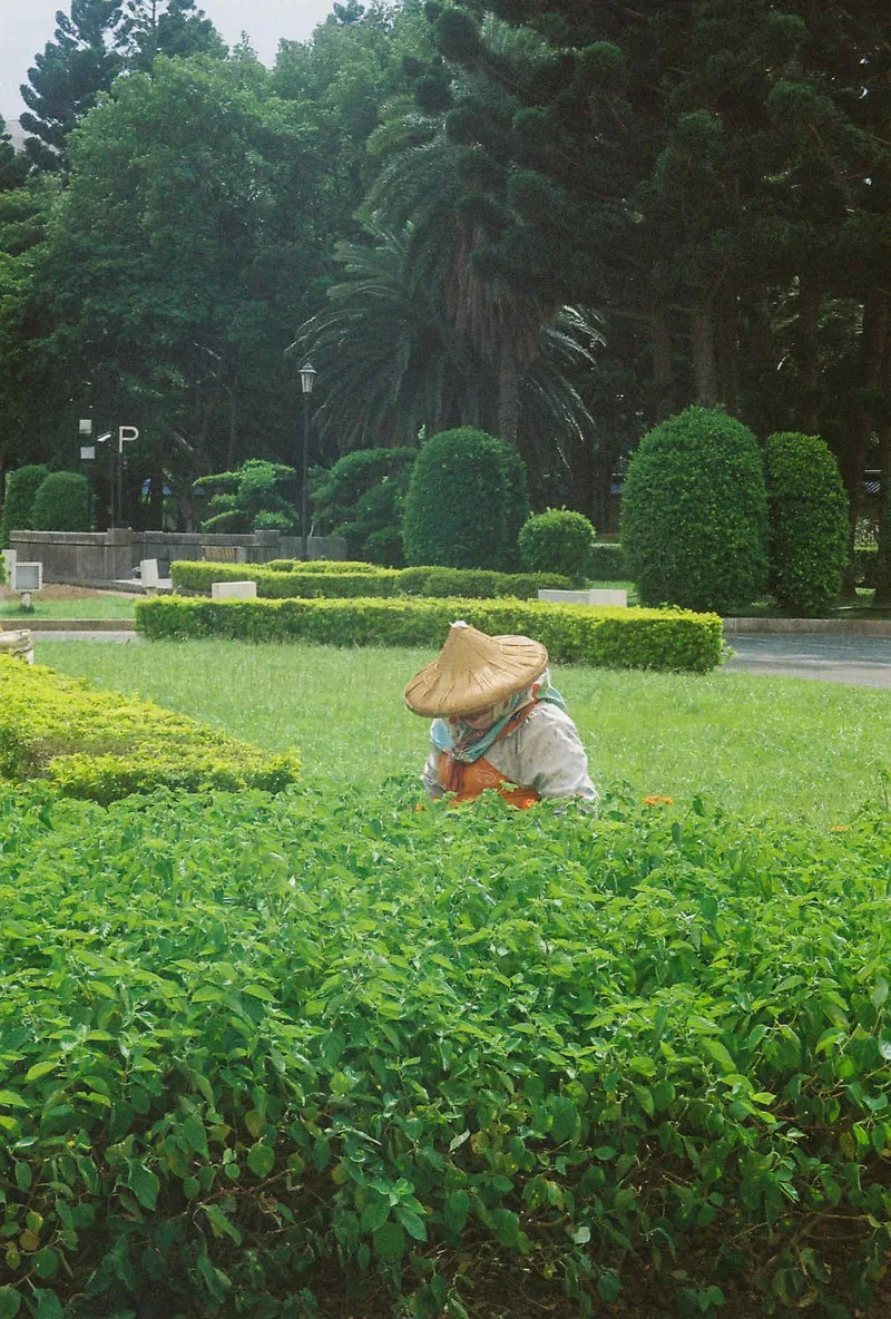 Film photo shot on Kodak UltraMax 400 with a Nikon TW Zoom, developed at Labo Germain Photo, by Ambre