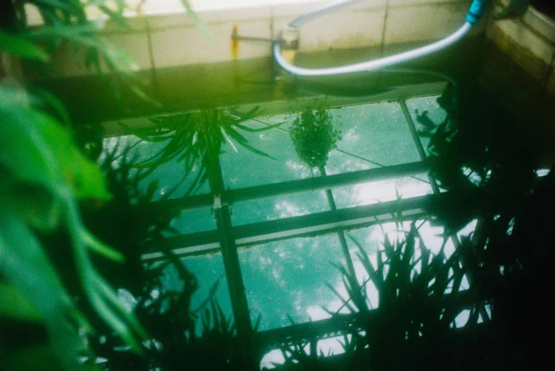 Film photo shot on Kodak UltraMax 400 with a Canon FTb QL, developed at Foto.sk, by Branci