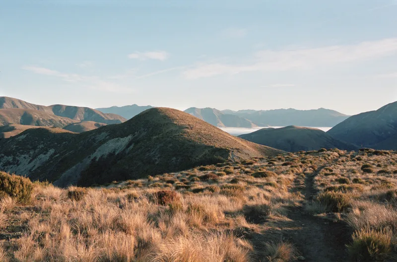 golden hour hike shot on Kodak Portra 400 with a Pentax MZ-S, developed at Home / Self-Developed, by ap4y