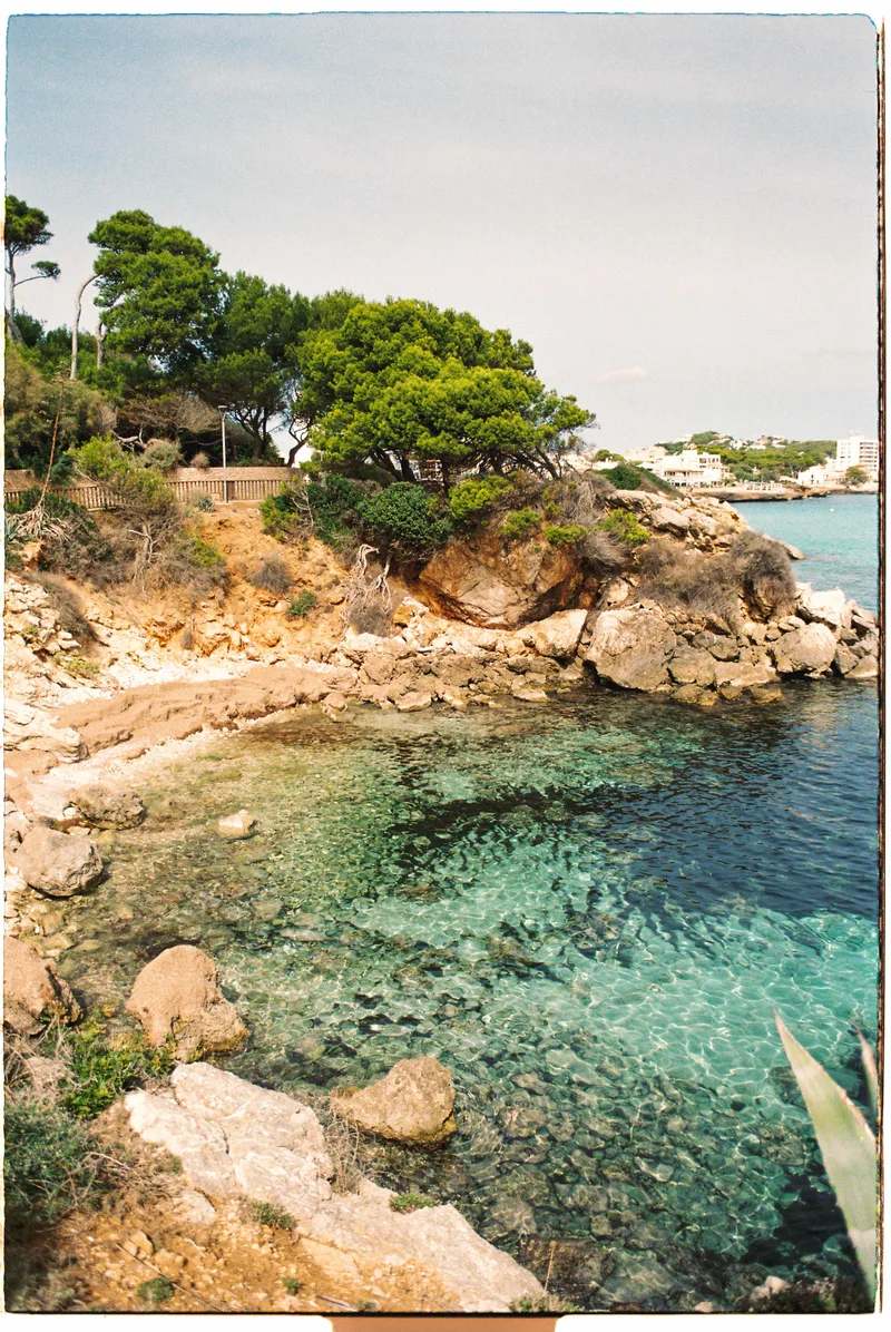 .shore 06 shot on Kodak Gold 200 with a Mamiya NC1000s, developed at Miva, by roberto