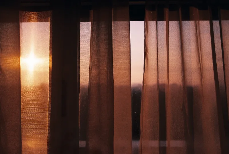 Film photo shot on Fujifilm FujiColor C200 with a Canon EOS 1000FN, by Oriana