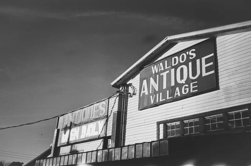 waldo, florida shot on CatLABS X Film 320 Pro with a Minolta Freedom Zoom 140EX, developed at Not Another Film Lab, by kevin lorenzo