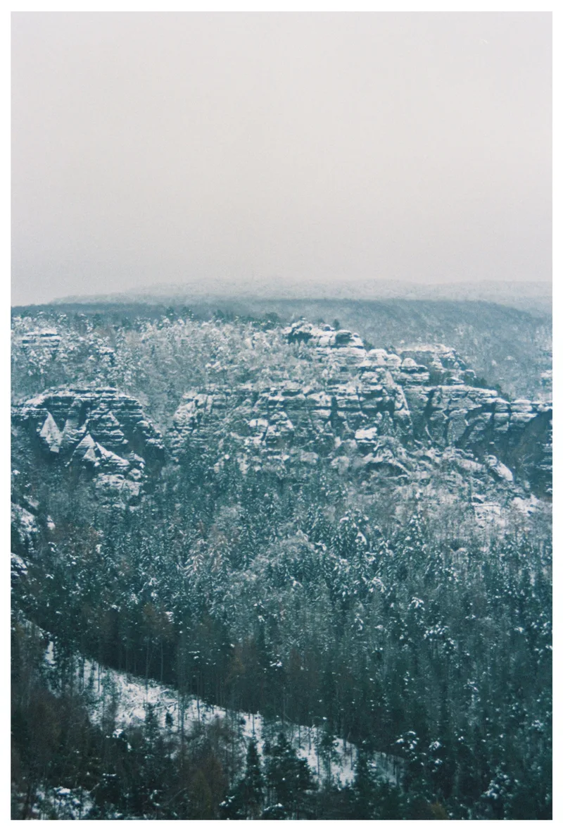 Film photo shot on Kodak Gold 200 with a Praktica MTL3, developed at Fotolabor Görner Dresden, by schmo