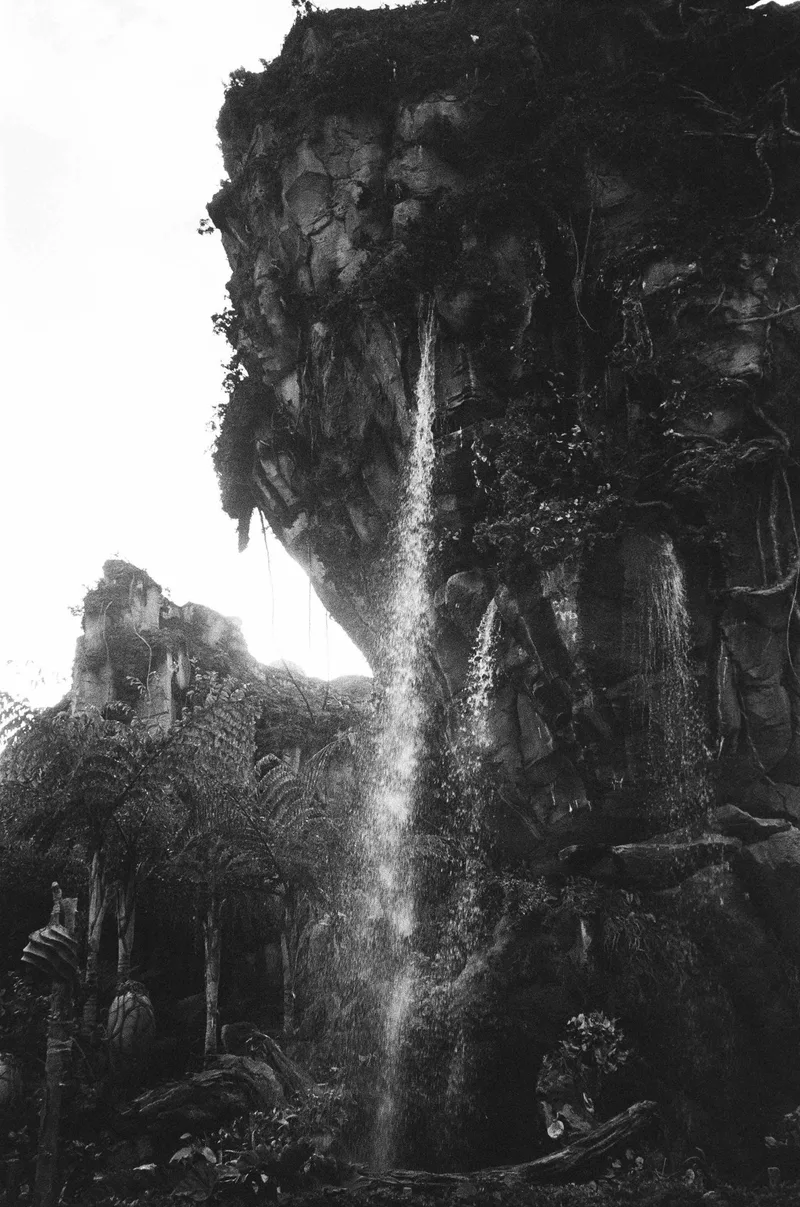 pandora shot on Kodak Tri-X 400 with a Pentax IQZoom, developed at Reformed Film Lab, by bri