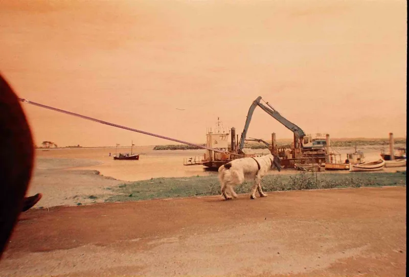 Strung Out Pooch shot on Lomography LomoChrome Turquoise 100 with a Lomography Analogue Aqua, developed at Snappy Snaps, by Tony Shelley