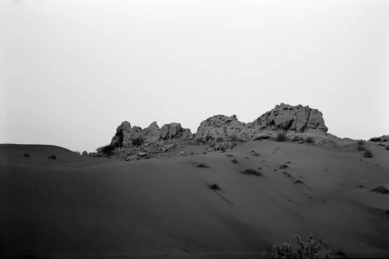 Sea of sand shot on Ilford PanF Plus 50 with a Fuji GL690, developed at Home / Self-Developed, by Faisal