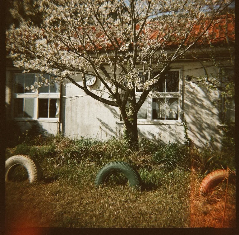 Film photo shot on Lomography LomoChrome Color ’92 Sun-kissed with a Lomography Diana F+, by Tabi Hituji