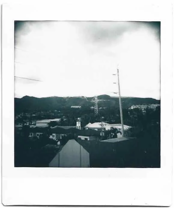neighborhood shot on Fujifilm Instax Square Monochrome with a Lomography DianaInstantSquare, by Lili