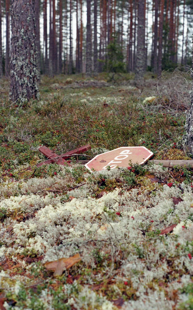 Film photo shot on Kodak Gold 200 with a Pentax ME, by Salminen