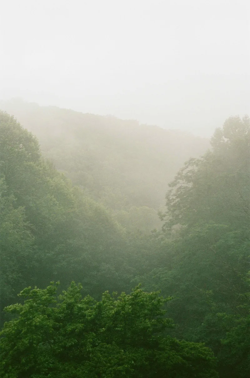 Slow Morning shot on Kodak Portra 400 with a Pentax K1000, developed at Thackers Film Lab, by Max Lowe