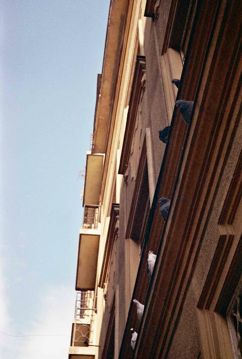 Under the Windows shot on Fujifilm FujiColor C200 with a Zeiss Werra, by AkosArnold