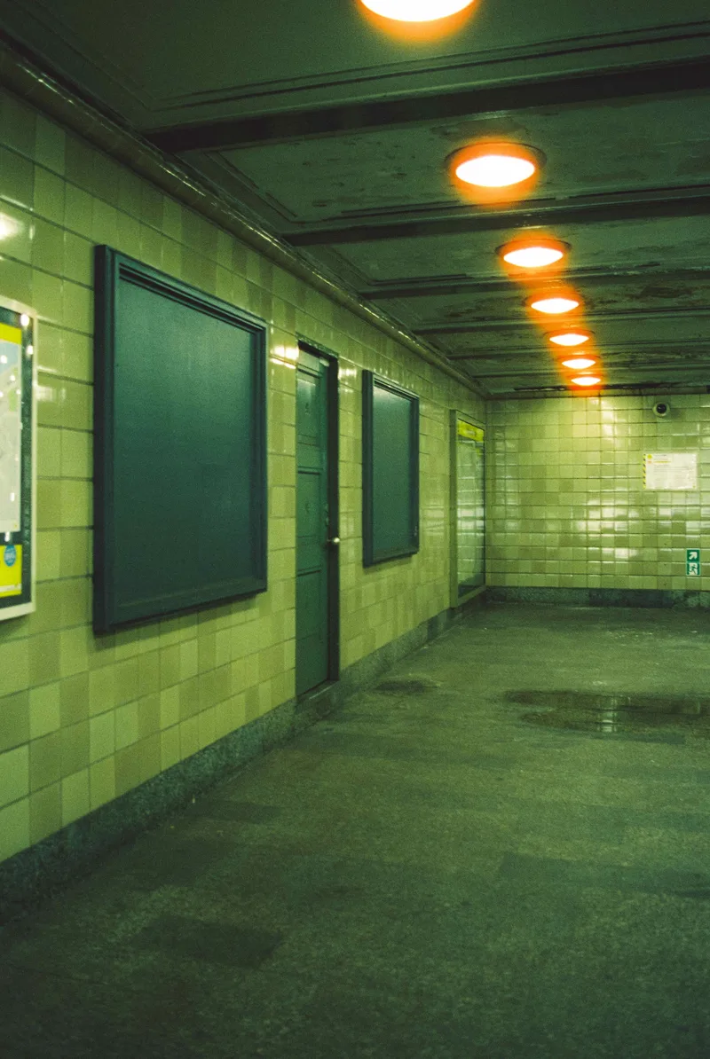 untitled shot on Cinestill 800T with a Canon AE-1, developed at FotoImpex, by Tim