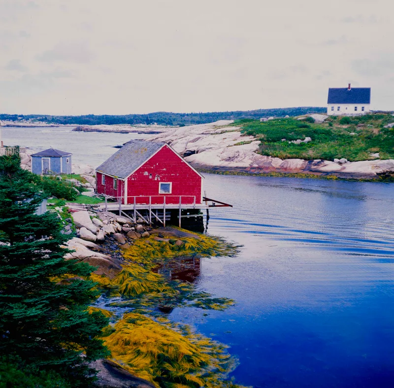 Fuji Velvia 100 exp. 2008, Nova Scotia, Canada shot on Fujifilm Velvia 100 with a Mamiya C330, developed at Memento, by Turgut