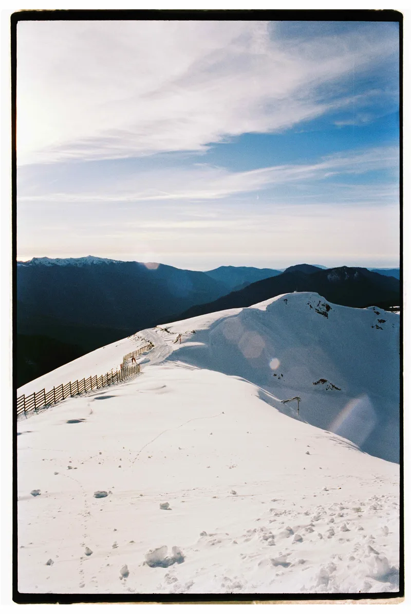 Film photo shot on Kodak Vision 3 250D with a Olympus OM-1N, developed at Lighthouse Film Lab, by Oleg Kovalev