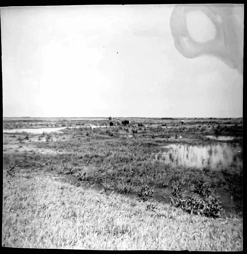 Wild Ken Hill (5) shot on Not Known 127? with a Coronet127 4x4, by Tony Shelley