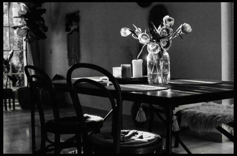 Film photo shot on Kodak T-Max 400 with a Nikon F3, developed at Home / Self-Developed, by Frank